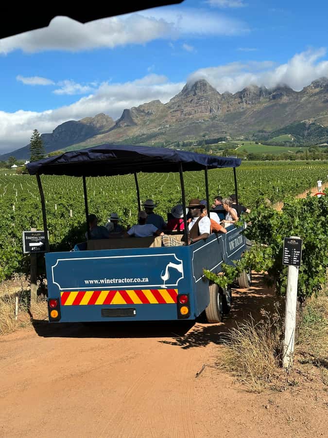 Cape Town: Stellenbosch Hop-On Hop-Off Tractor Transfer - Wine and food costs: is $24 good value?