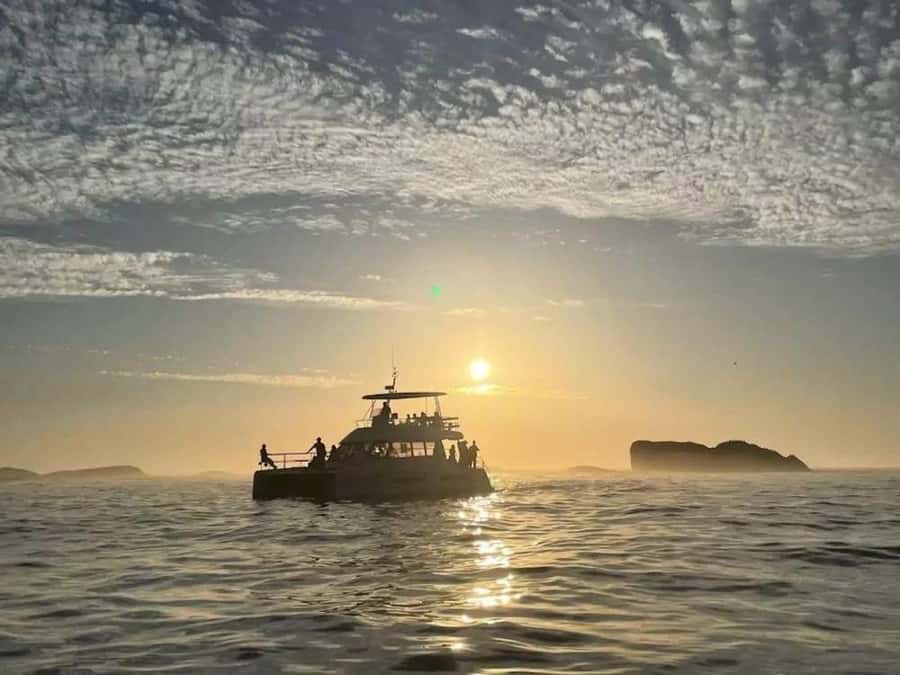 Cape Town: Sunset Champagne Cruise - Why this short cruise works so well at sunset