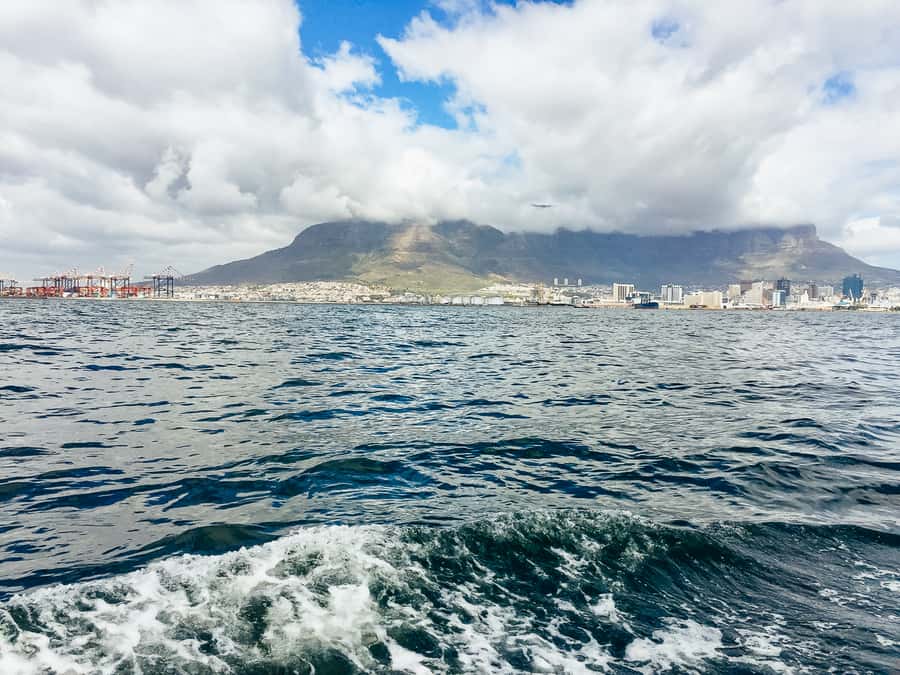 Cape Town: Sunset Champagne Cruise - Sparkling wine, music, and the mood on board