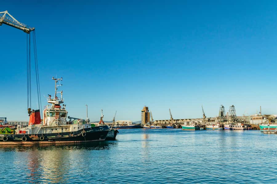 Cape Town: Sunset Champagne Cruise and 3-Course Dinner - Practical details that make the evening smoother