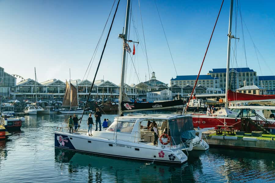 Cape Town: Sunset Champagne Cruise and 3-Course Dinner - How good is the $78 value?