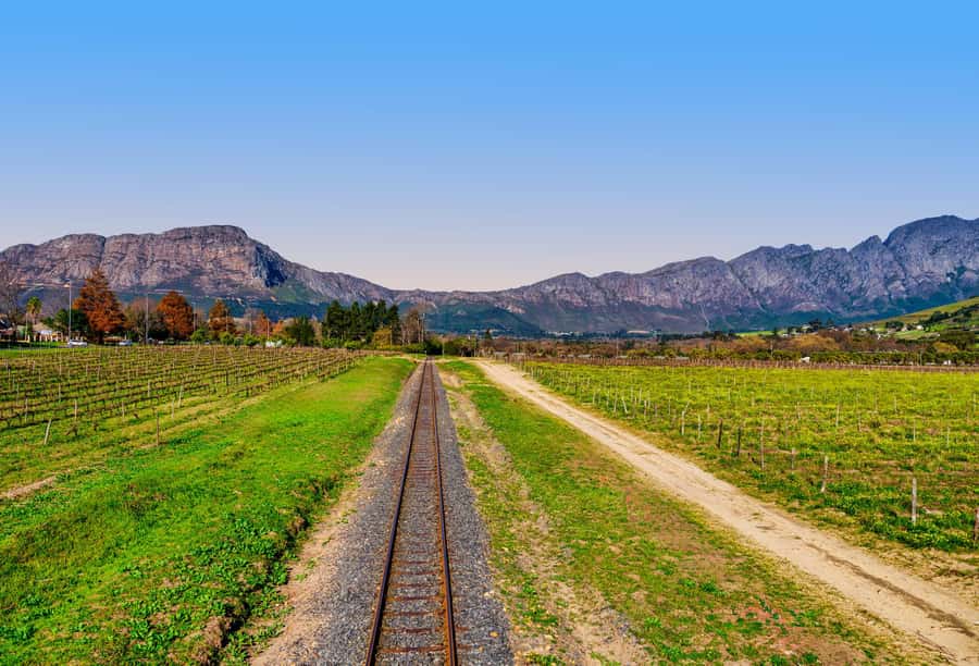 Cape Town: Wine Tram & Winelands Tour with Tastings & Pickup - Lunch choices and the real price of the tour