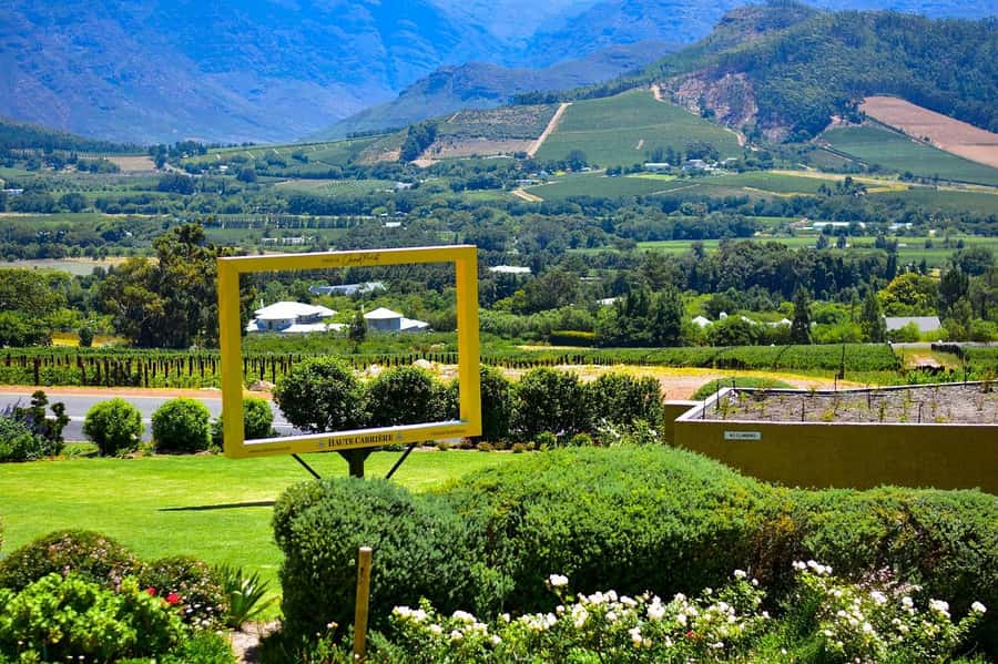 Cape Town: Wine Tram & Winelands Tour with Tastings & Pickup - Who should choose this tour?