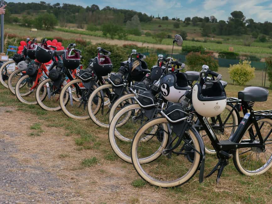 Carcassonne: Solex tour with guide and wine tasting - Key points to know before booking
