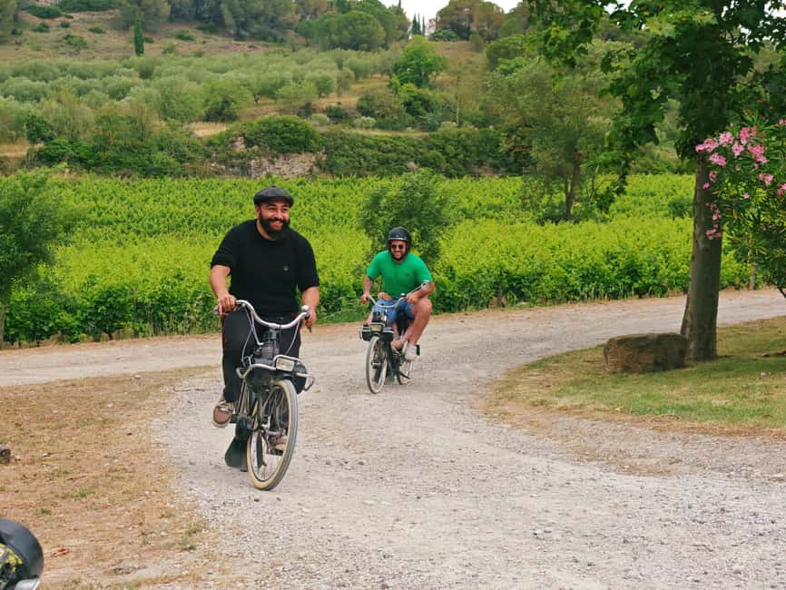 Carcassonne: Solex tour with guide and wine tasting - The vineyard stop and one hour of wine tasting