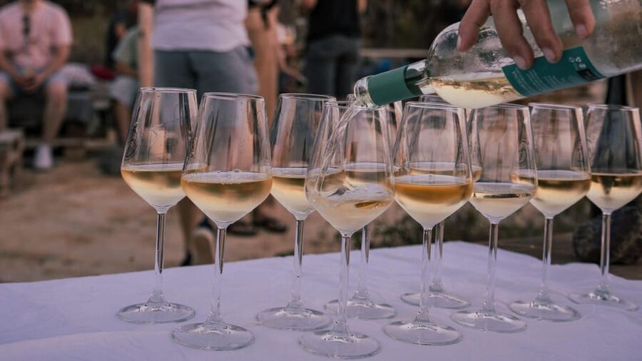 Castelsardo: visit a vineyard with wine tasting at sunset - How the two hours are likely to unfold