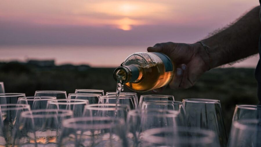 Castelsardo: visit a vineyard with wine tasting at sunset - Food allergies, vegetarian needs, and alcohol-free options