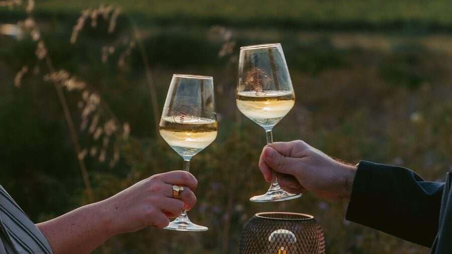 Castelsardo: visit a vineyard with wine tasting at sunset - What the three wines add to the evening
