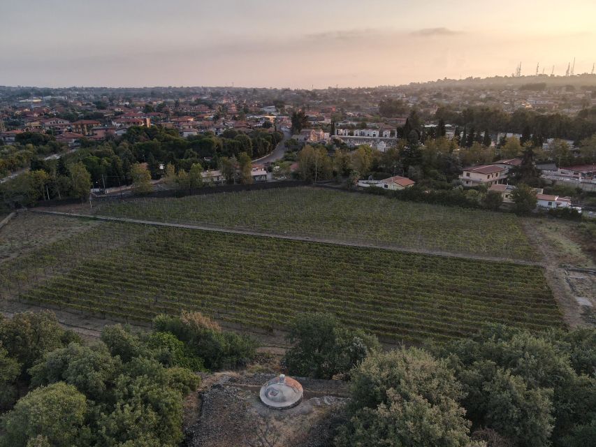 Catania: Etna Urban Winery Sicilian Lunch with Wine Tasting - Who will enjoy this most?