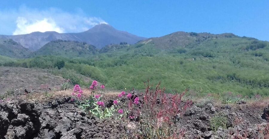 Catania: Mount Etna Sunset Tour and Etna Doc Wine - Etna DOC wine as the sunset arrives