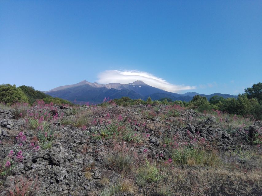 Catania: Mount Etna Sunset Tour and Etna Doc Wine - Who will enjoy this Etna evening