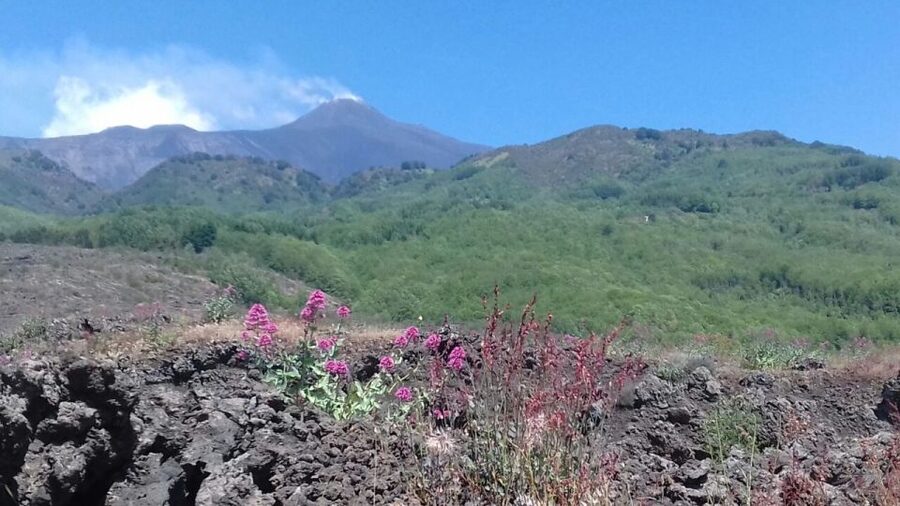 Catania: Mount Etna Sunset Tour and Etna Doc Wine - The Valle del Bove and Etna’s enormous eastern scar