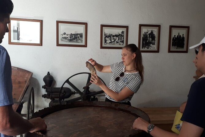Cava tour to 3 family wineries with hotel pick-up - Why this Penedès day trip feels different