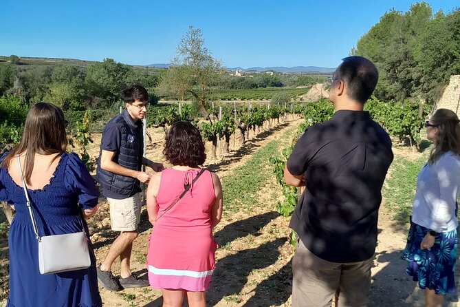 Cava tour to 3 family wineries with hotel pick-up - Giro del Gorner, an old cellar and a Catalan brunch