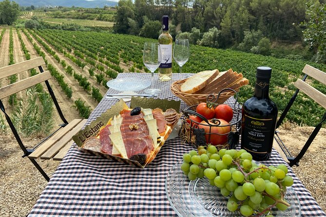 Cava tour to 3 family wineries with hotel pick-up - What you actually get for $211.72