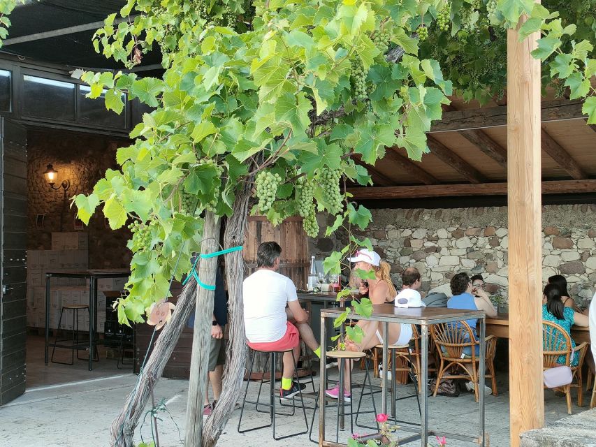 Cavaion: Lake Garda Wine & Food Tasting with Vineyard Tour - A Working Vineyard in the Hills Near Garda
