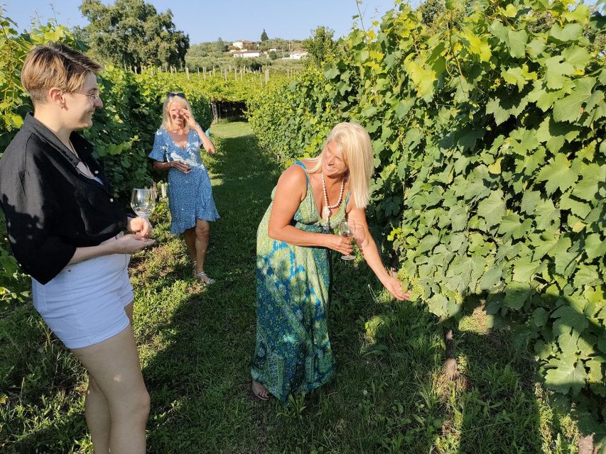 Cavaion: Lake Garda Wine & Food Tasting with Vineyard Tour - Walking the Vines Before the First Pour