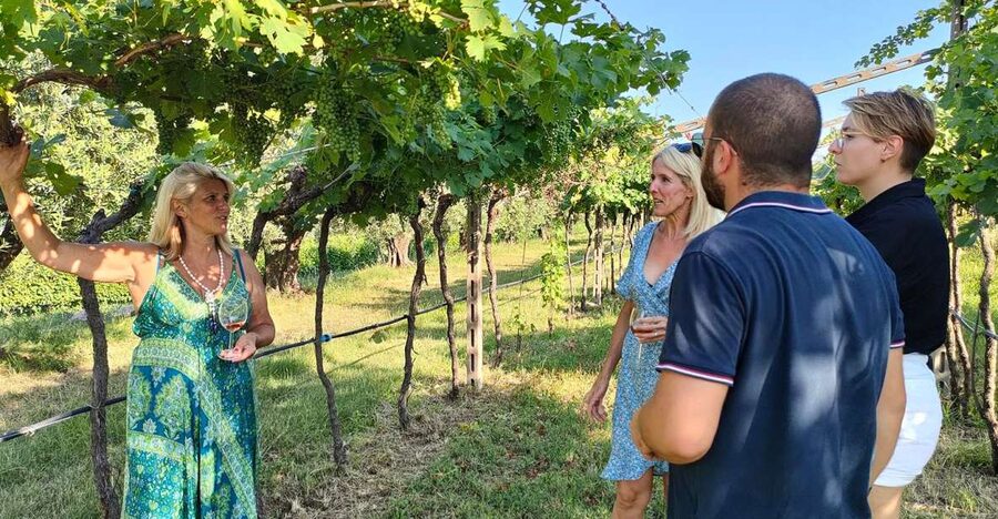 Cavaion: Lake Garda Wine & Food Tasting with Vineyard Tour - Three Wines or Five: Picking the Right Tasting
