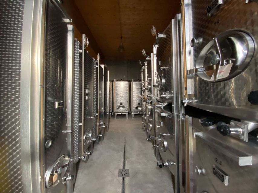 Cellar visit and Alsace wine tasting with a feminine touch - A one-hour stop on the Alsace Wine Route