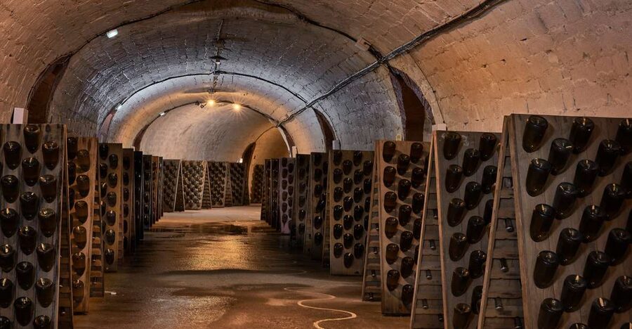 Champagne: Canard-Duchêne Champagne House Tour - Above ground, grapes and house history