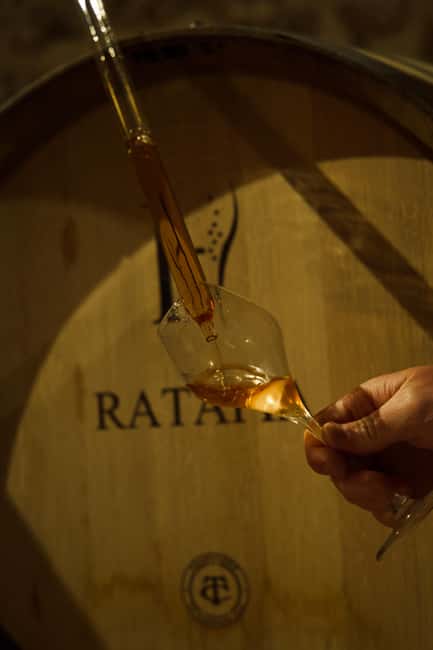 Champagne Cellar Experience: Explore our historic cellars - A Small Cellar With a Clear Sense of Place