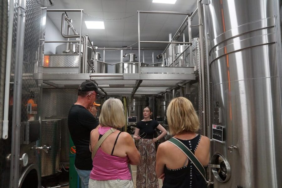 Champagne Cellar Experience: Explore our historic cellars - Time, Location, and What to Plan