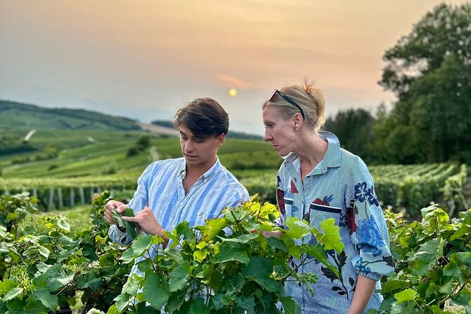 Champagne Day Trip from Paris with 8 Tastings & Lunch - Key points to know before you book