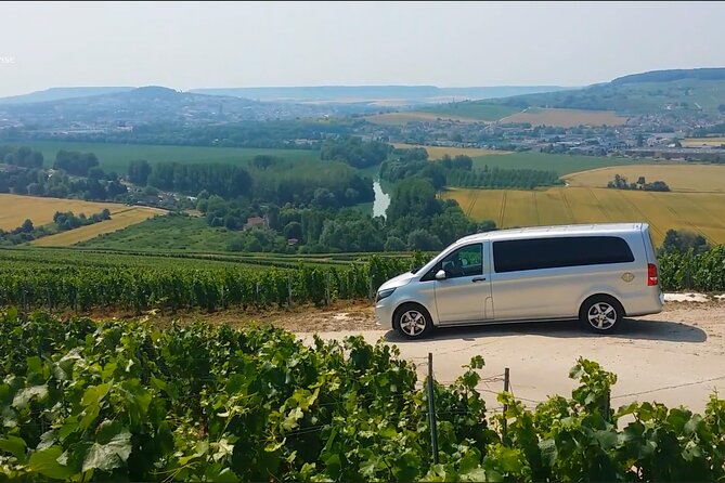 Champagne Day Trip from Reims including 9 Champagne Tastings - Rilly-la-Montagne and the first cellar visit