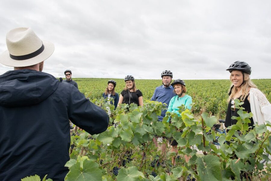 Champagne: E-Bike Champagne Day Tour with Tastings and Lunch - Cellar, four wines, and a generous regional lunch