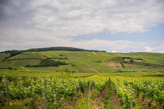 Champagne experience with a vintage van from Epernay - 3 hours - Who should book this experience?