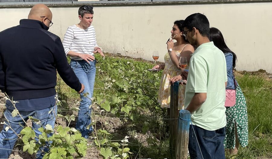 Champagne Munoz Bruneau : Half Day Visit and Tasting - Why the guide matters