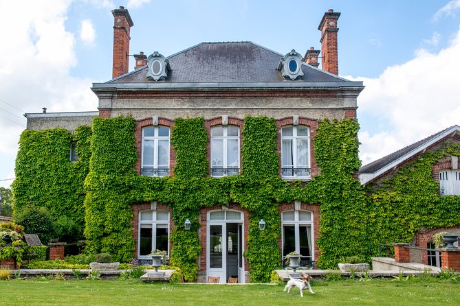 Champagne Tasting Class and Lunch near Epernay - Learning the Champagne process underground