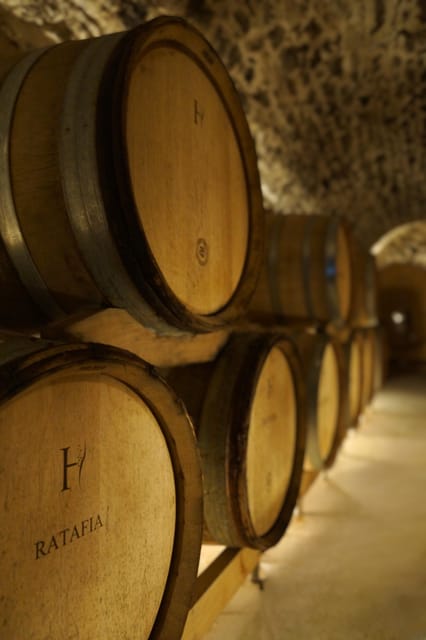 Champagne Vineyard Experience: Delve into the terroir - Should you book Champagne Harlin?