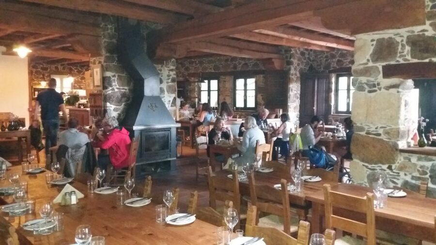 Chania: Milia Mountain Tour w/Lunch Olive Oil/Wine Tastings - Should you book it?