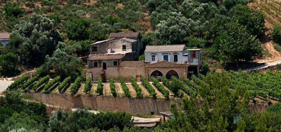 Chania: Milia Mountain Tour w/Lunch Olive Oil/Wine Tastings - Who should take this tour?