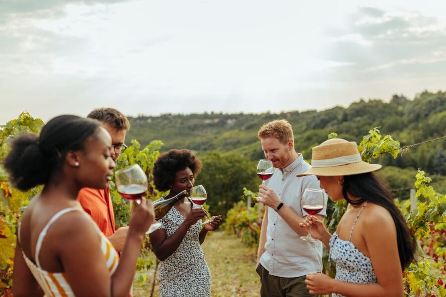 Charleston: Wadmalaw Island Wine Tasting and Tea Garden Trip - Key points to know before you book