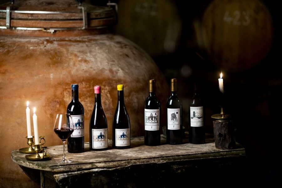 Château de Luc: Unique visit and wine tasting - Starting at a family-run château