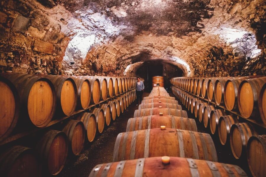 Château de Luc: Unique visit and wine tasting - What makes the guide important