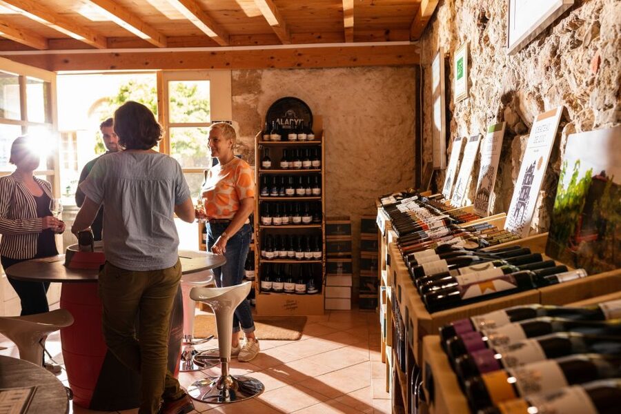 Château de Luc: Unique visit and wine tasting - Who will get the most from this $15 visit
