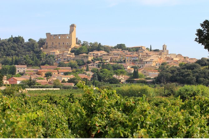 Châteauneuf du Pape Wine Day Tasting Tour including Lunch from Avignon - Lunch is more than a quick break