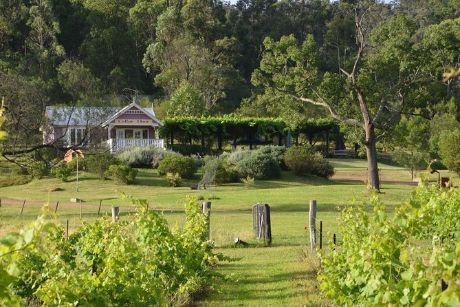 Chef-Led Hunter Valley Gourmet Food and Wine Day Tour from Sydney - Starting at the Sydney Fish Market