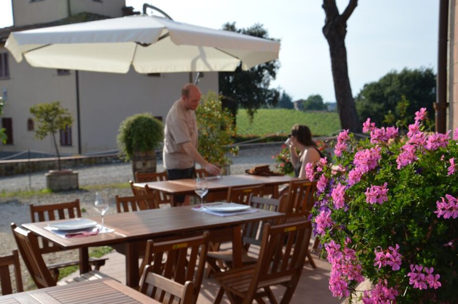 Chianti: 4 Wines +1 Oil Guided Tasting & Tour - Should you book Terre di Perseto?