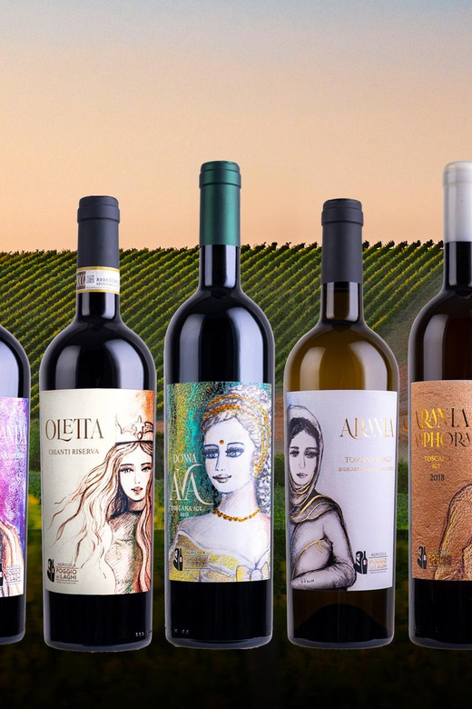 Chianti: Lunch with Wine Tasting at Poggio ai Laghi Winery - What happens when you arrive