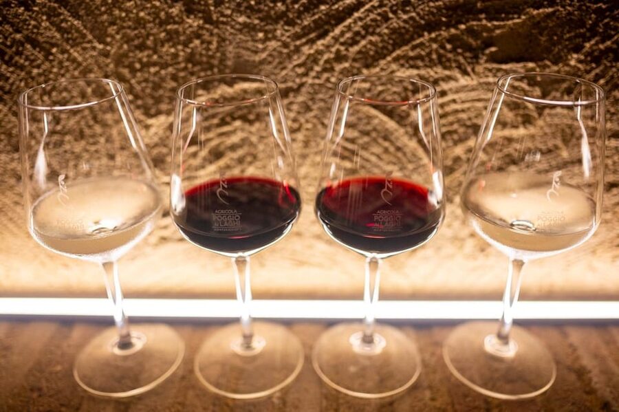 Chianti: Lunch with Wine Tasting at Poggio ai Laghi Winery - Cantuccini and Vin Santo close the meal