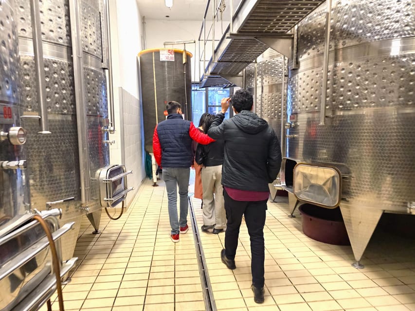 Chianti: Vineyard to Bottle Winery Visit with Tastings - Should you book this Chianti winery visit?