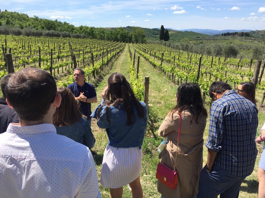 Chianti: Vineyard to Bottle Winery Visit with Tastings - Is $37 a fair price for 90 minutes?