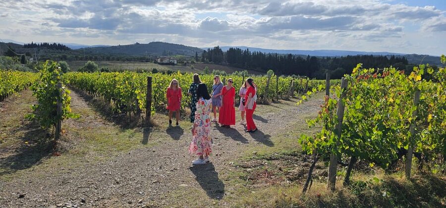 Chianti: Vineyard to Bottle Winery Visit with Tastings - Practical advice before you arrive