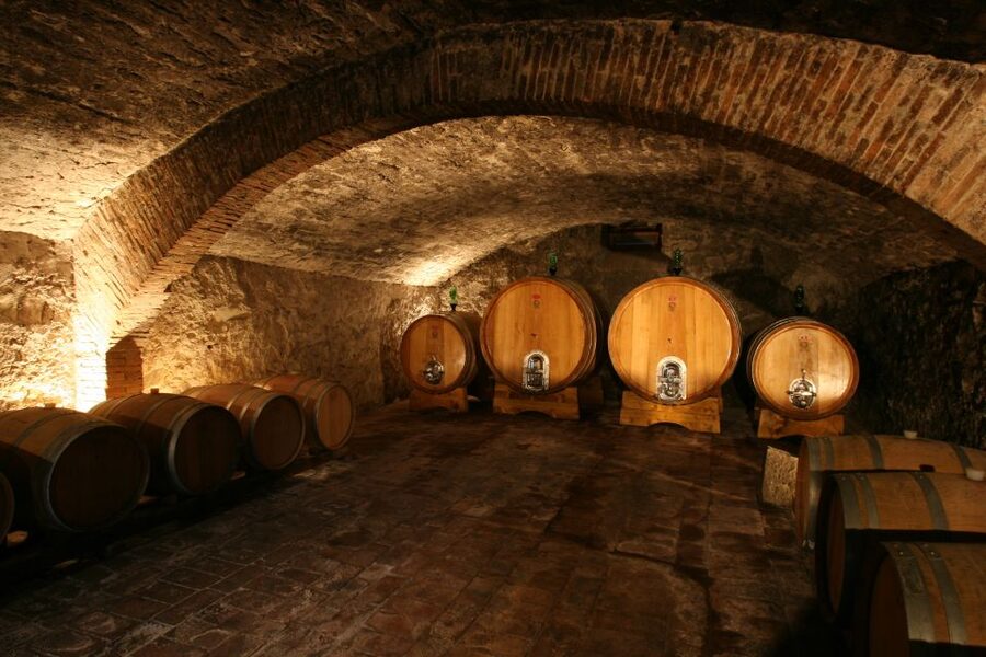 Chianti: Wine and Olive Oil Tasting with Cellar Tour - The small cellar with an old Tuscan character