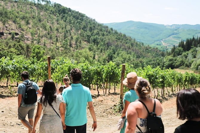 Chianti Wine Tour from Florence - Why this Chianti tour works well from Florence