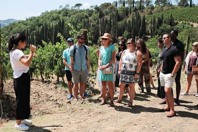 Chianti Wine Tour from Florence - The second winery, vineyards and cellar rooms